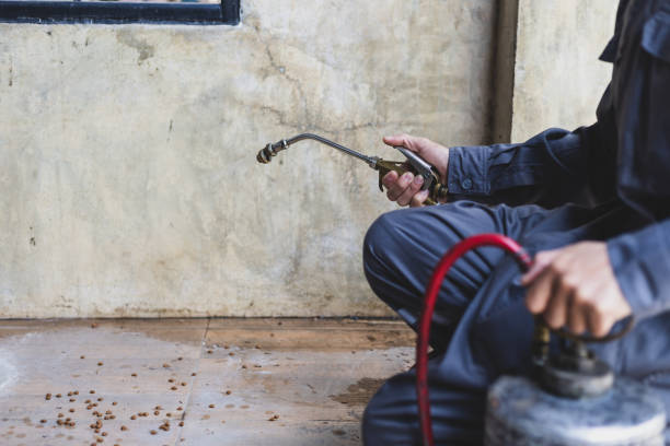 Best Pest Control for Businesses  in West Canton, NC